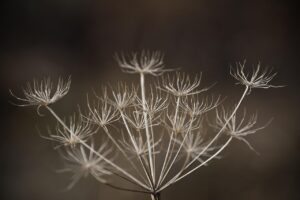 ミラドライでワキガの1か月後の効果はどのくらい？