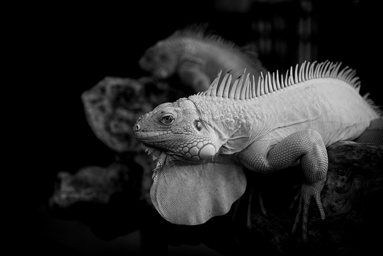 ミラドライはワキガやアトピーに大丈夫なのか？