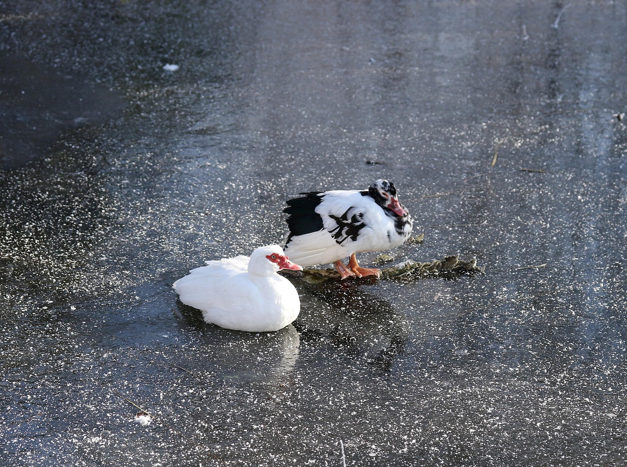 ミラドライでのワキガ治療は分割払いが可能なの？