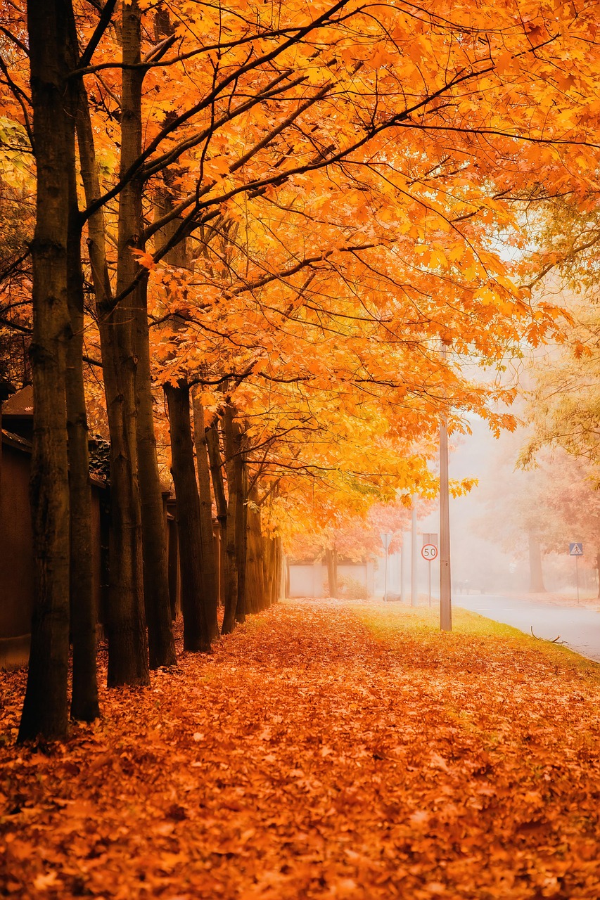 ミラドライでワキガの傷跡は消えるまでどのくらいかかる？