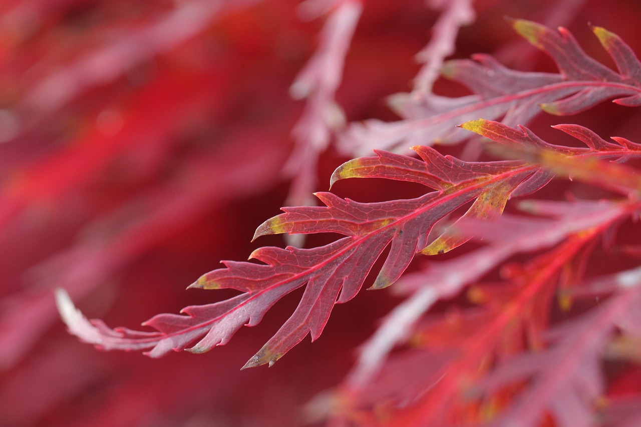 ミラドライでワキガの治療は1回で完了する？