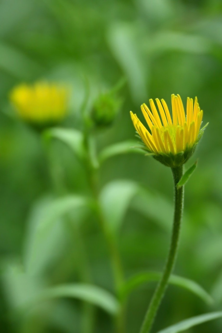 ワキガのミラドライに関するガチレビューを知りたい？