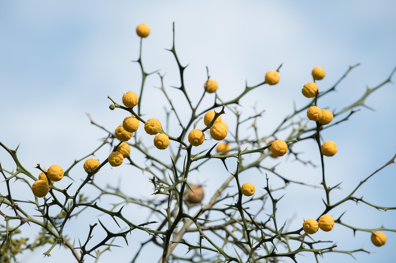 ワキガ治療のミラドライで汗が出ない場合、副作用はある？