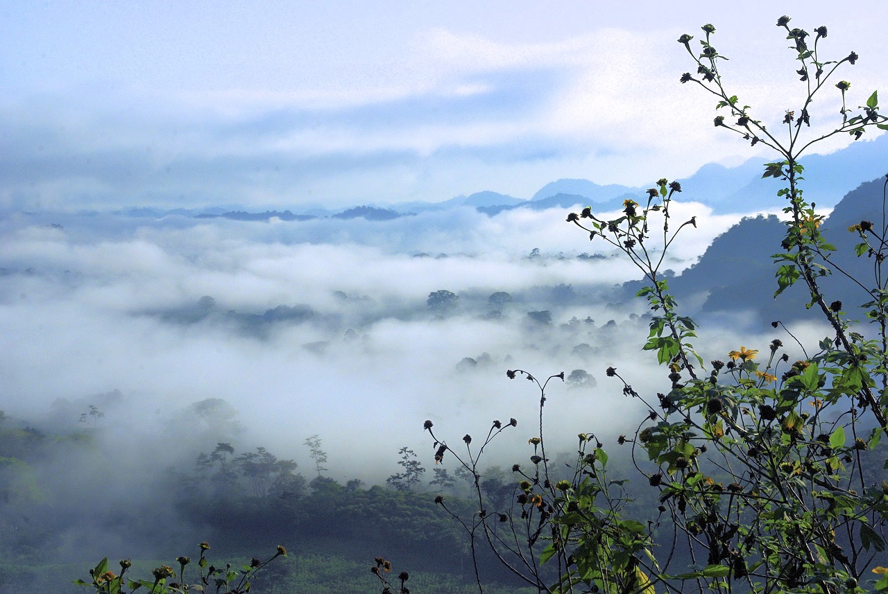ワキガとミラドライ、汗っかき体質の遺伝が気になるあなたへ？