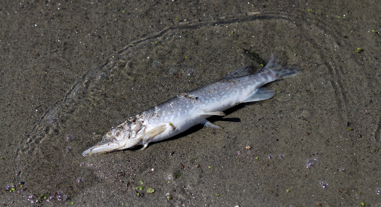 ワキガのミラドライを受ける前に準備すること一覧は？