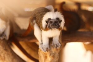 腋臭症に悩むあなたへ、ミラドライは重度でも効く条件とは？